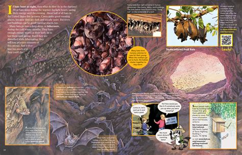 Caves Where Bats Live