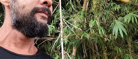 Back To My Origins Vlog Now Gay Amateur Porn Feat Stink Hairymale Xhamster