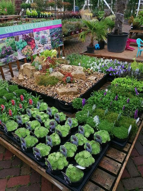 New Delivery Of Summer Newton Regis Garden Centre Facebook