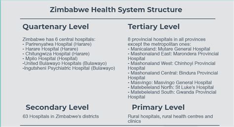 Zimbabwe's health delivery system - ZimFact