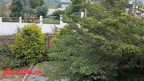 Hot Fuck Nigeria Lagos Search XNXX