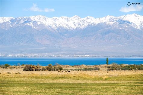 Kyrgyzstan Tours & Travel - Kalpak Travel