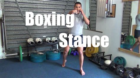boxing stance explained boxing   zealand