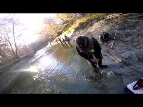 Walnut Creek Erie Pa Steelhead Fishing 2015 Nov 3 Steelhead Fishing