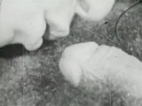 Chicks And Dicks Retro Retro Porn XHamster