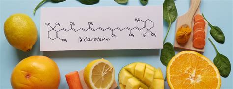 Beta Carotene And Skin Cancer At Mary Cyr Blog