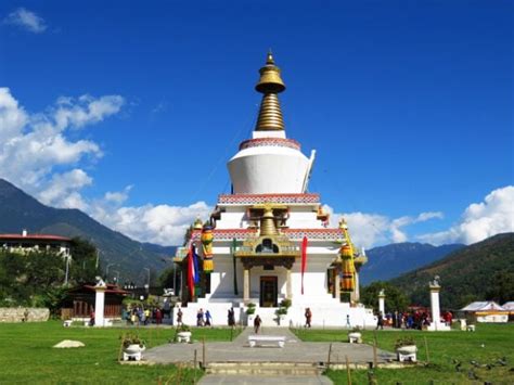 Explore Motithang Takin Preserve Thimphu What To Expect Timings