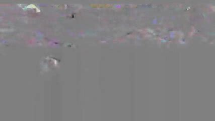 Its Not Gay If U Don T Cum Vol