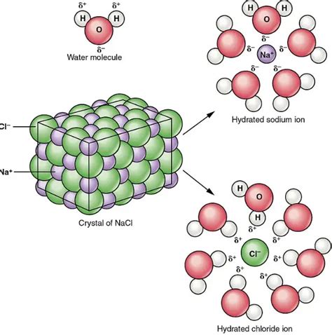 Difference Between Dissociation And Solvation - Relationship Between