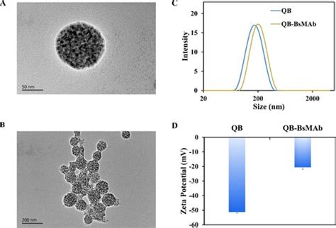 Full Article Quantum Dot Nanobead Immunochromatographic Assay Based On