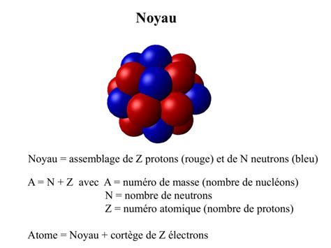 Noyau