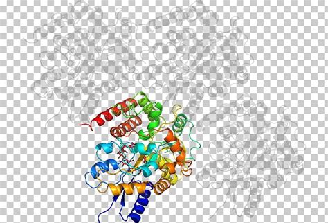 point tree png clipart area art arts circle creativity