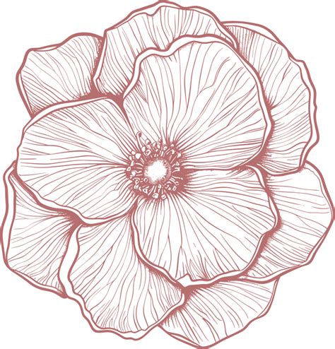 Desert Rose Clipart Design Illustration 43860249 Png
