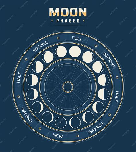 Premium Vector | Moon phases, calendar of lunar cycles.