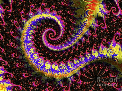 Fancy Bold Fractal Swirl Digital Art By Elisabeth Lucas Fine Art America