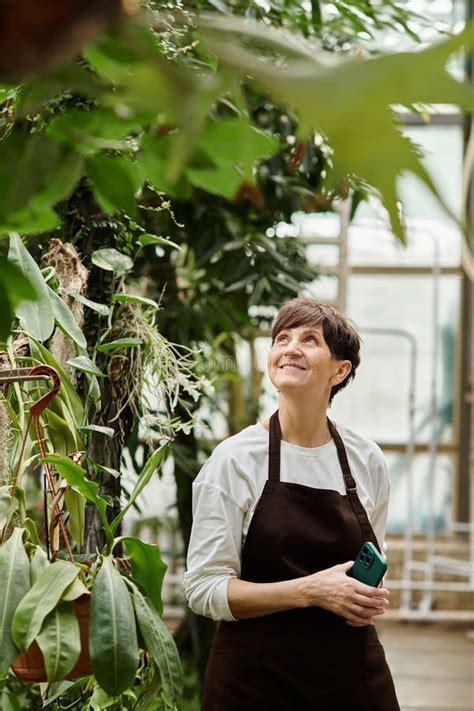 Mature Woman Confidently Tending To Lush Stock Photo Image Of Inspiration Foliage 374063834