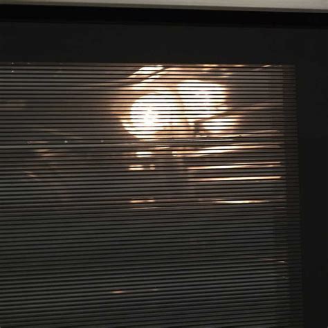 Встраиваемый газовый духовой шкаф Maunfeld MGOG 673B купить в Москве на ...