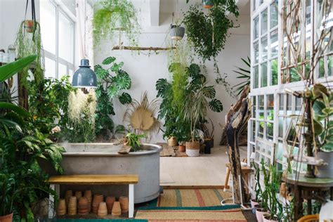 Créer Un Jardin Dhiver En Appartement Sélection De Plantes Adaptées