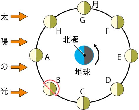 【中学理科】月の動きと満ち欠けをわかりやすく解説 中学理科の苦手解決サイト ｜【さわにい】の解説