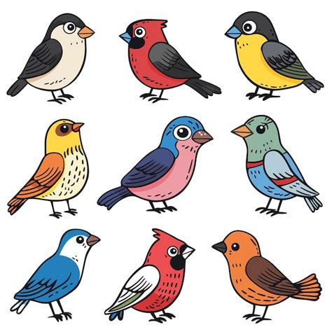 Cor De Passarinho Desenho - Coleção de pássaros coloridos estilo desenho animado isolado fundo ...