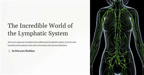 The Incredible World Of The Lymphatic System