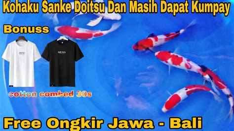 Sanke Doitsu Dan Masih Dapat Kumpay Dan Masih Free Kaos Dari Kami