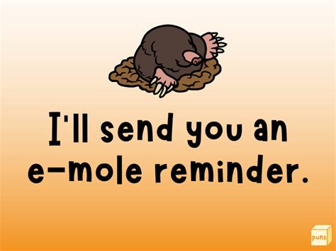 60 Funny Mole Puns Box Of Puns