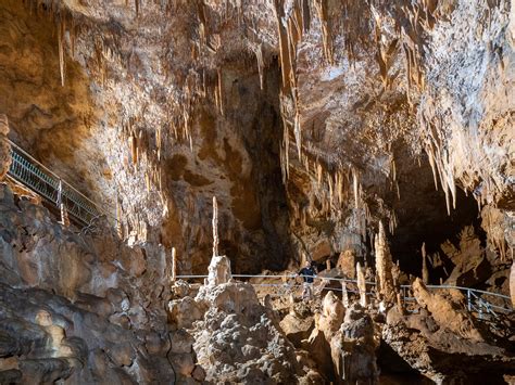 Grotte préhistorique de Foissac Foissac Patrimoine Tourisme Aveyron