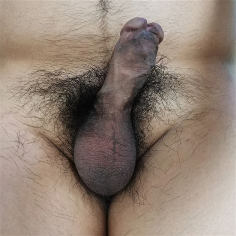 My Small Hairy Dripping Cock Reupload Nude Pics XHamster