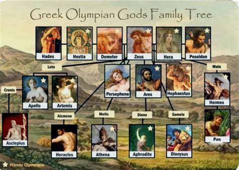 family tree   greek gods goddesses