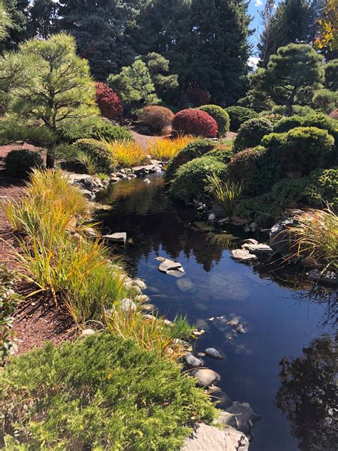 normandale japanese garden 12