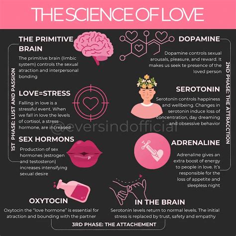 THE SCIENCE OF LOVE
