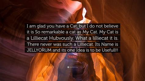 T. S. Eliot Quote: “I am glad you have a Cat, but I do not believe it ...