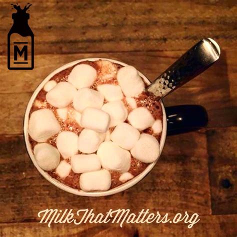 To Mallow Or Not To Mallow Hot Chocolate Delight