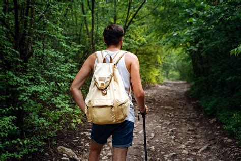 Río Parque Nacional de Tijuca Caminata Privada Guiada con Traslado