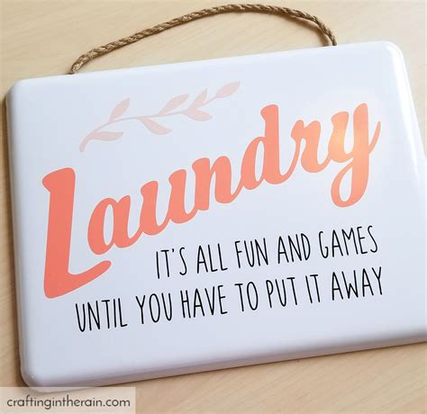 funny animal laundry photos 8