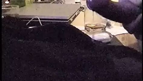 Free Gay Cumming Porn Videos XHamster