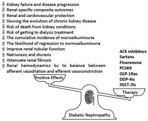 Advances in the Pharmacological Management of Diabetic Nephropathy: A