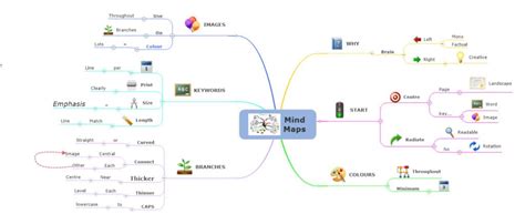 mind mapping techniques maximize  business productivity
