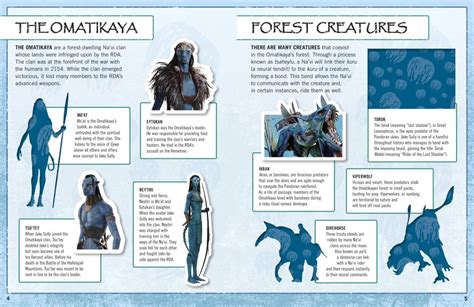 Discover our range of Avatar books | DK CN