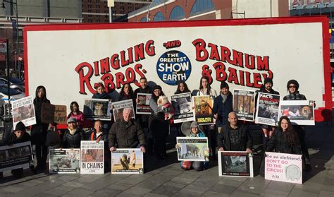 Animal Rights Activists Convince Potential Customers to Boycott