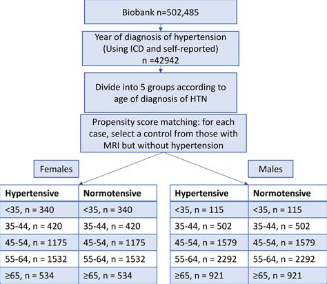 Sex Differences In The Association Of Age At Hypertension Diagnosis With Brain Structure