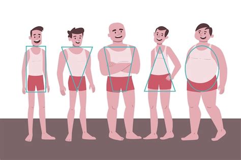 Formato De Corpo Masculino - Tipos de desenhos de formas do corpo masculino | Vetor Grátis