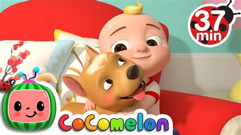 Cocomelon Dog