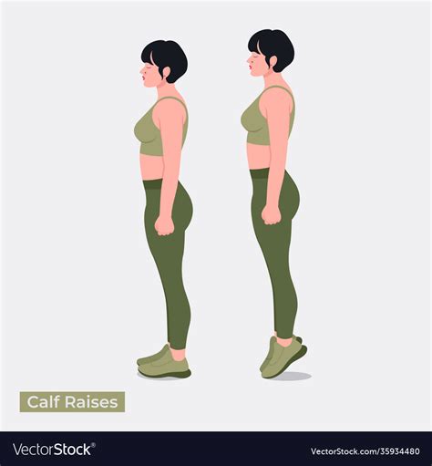 Calf Raises Exercise Royalty Free Vector Image