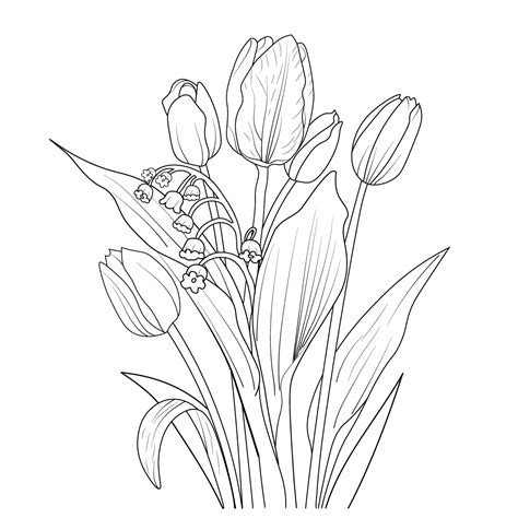 tulip flower anatomy  gemma axon blog