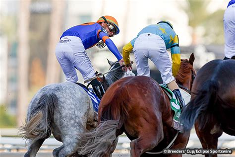 2023ブリーダーズカップの結果 Jra