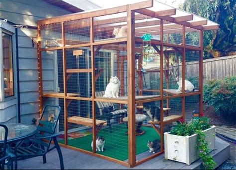 Построить вольер для кошки на даче - фото