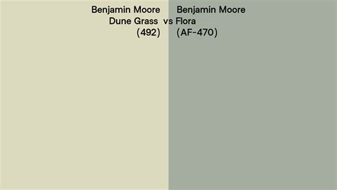 Benjamin Moore Dune Grass Vs Flora Side By Side Comparison