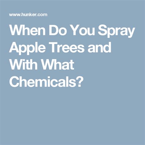 When Do You Spray Apple Trees And With What Chemicals Hunker Apple